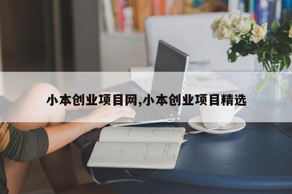 小本创业项目网,小本创业项目精选